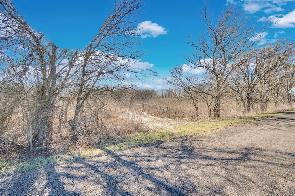 Tbd White Rock Road Italy, TX 76651 - Photo 8 of 24 a view of a yard with large trees