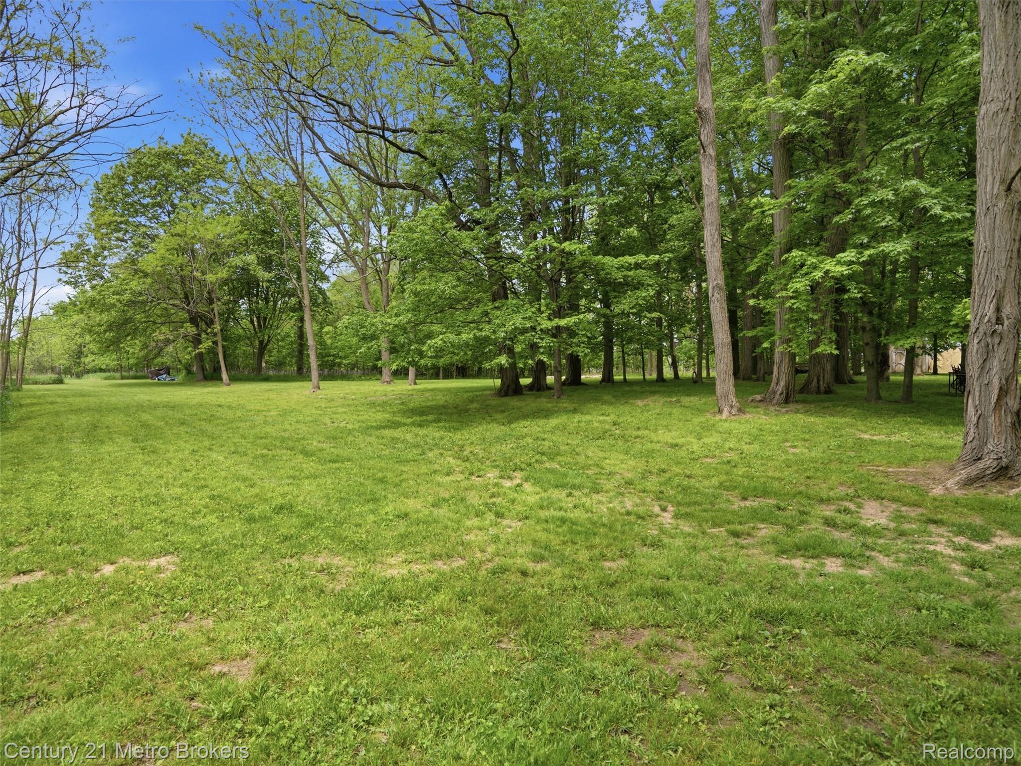 11447 North Latson Road Linden, MI 48451 - Photo 42 of 52 Expansive lawn area surrounded by a perimeter of mature deciduous trees and natural landscaping