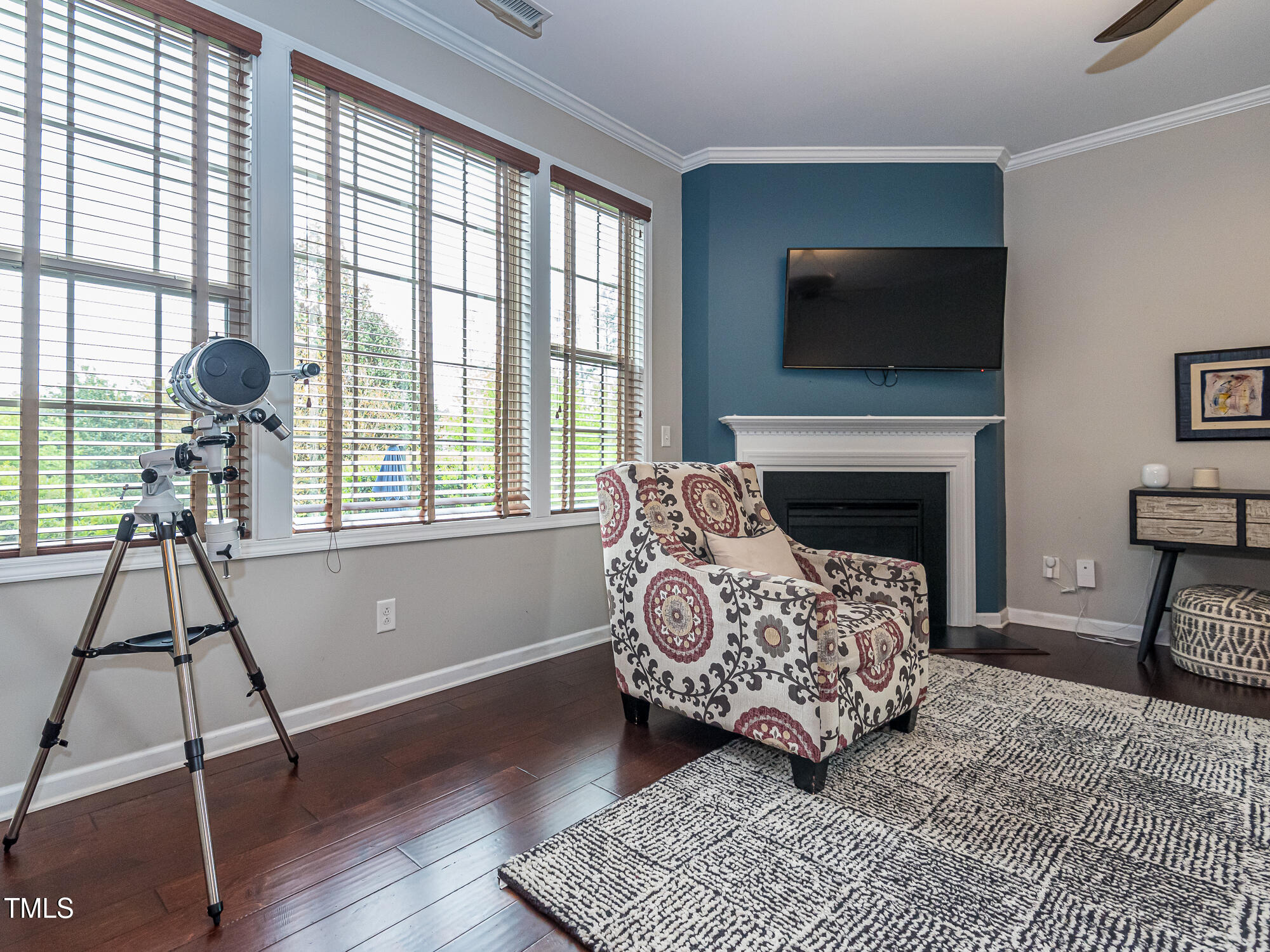111 Gathering Place Durham, NC 27713 - Photo 10 of 44 a living room with furniture a flat screen tv and a fireplace