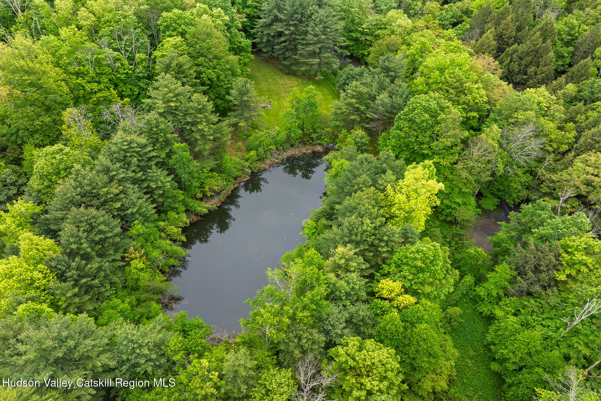 75 Upper Hollow Road Austerlitz, NY 12529 - Photo 9 of 30 a view of a garden with plants and large trees