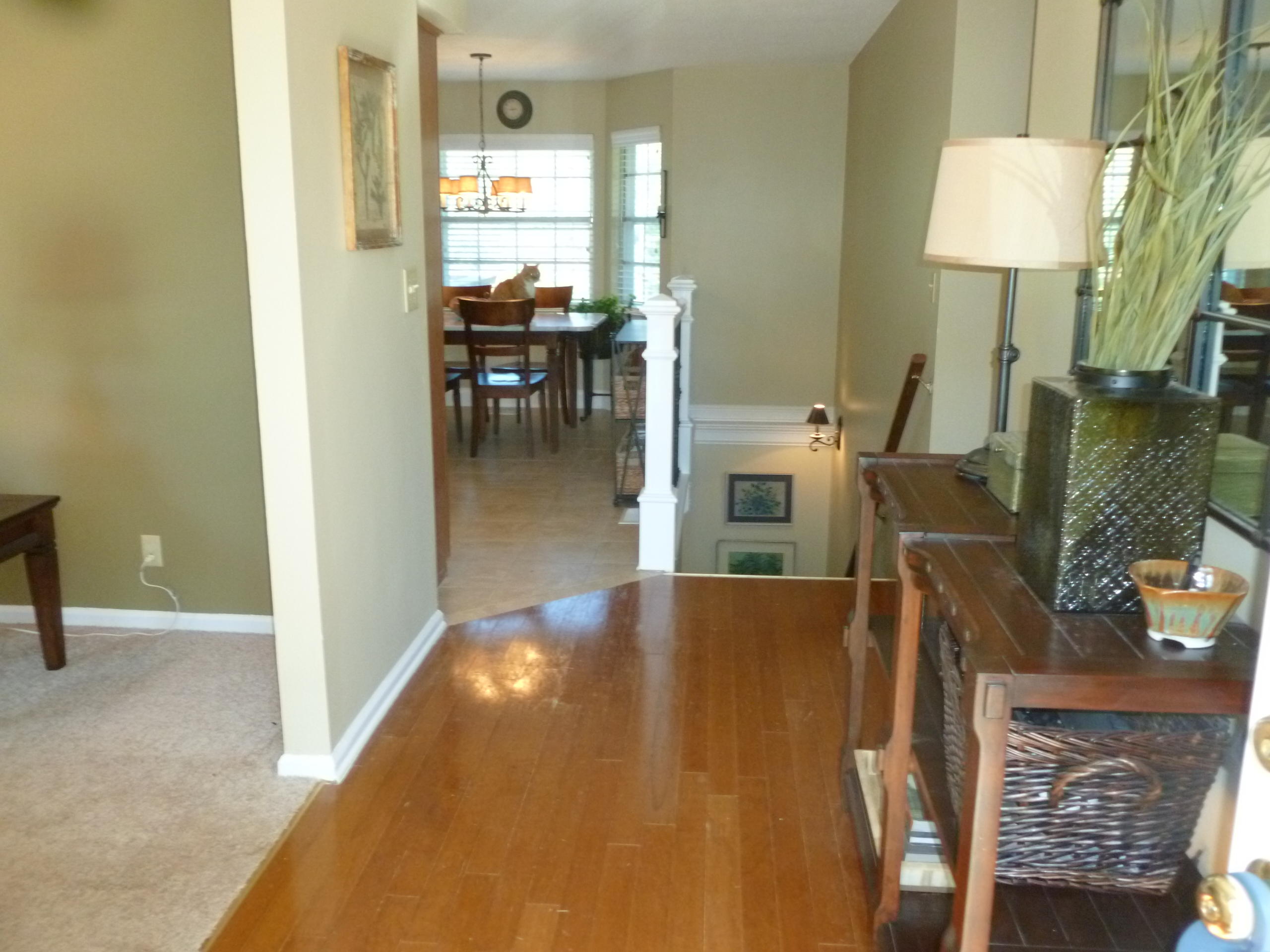 1511 Ridge Point Road Hixson, TN 37343 - Photo 8 of 31 P1020998