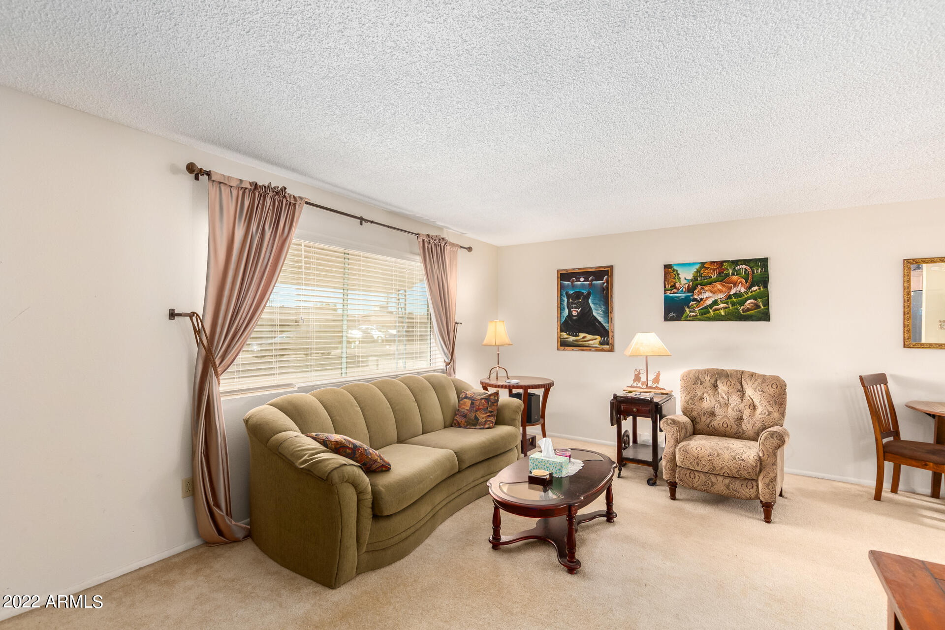 5652 Casper Road Mesa, AZ 85205 - Photo 6 of 28 Living/Front Room