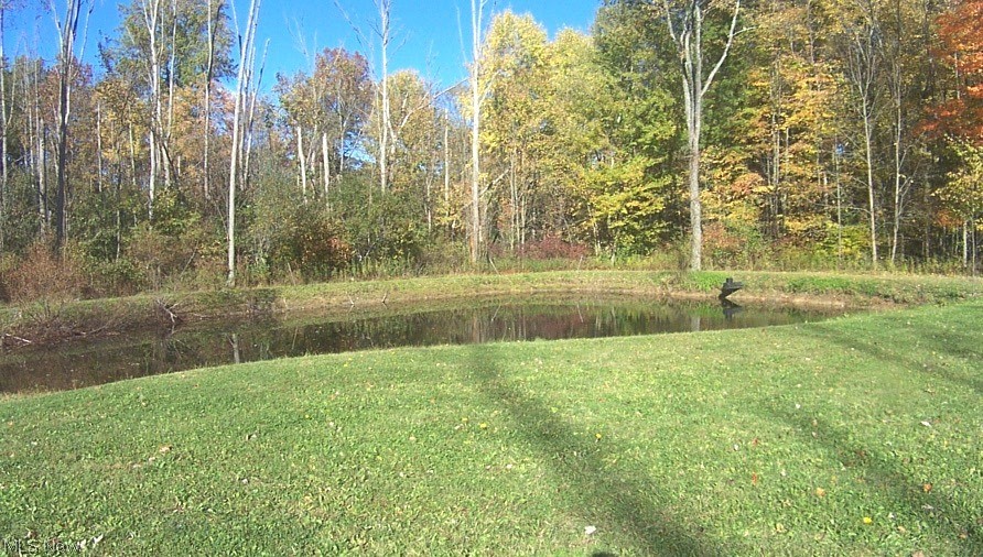 4901 Weaver Road Berlin Center, OH 44401 - Photo 10 of 34 Pond