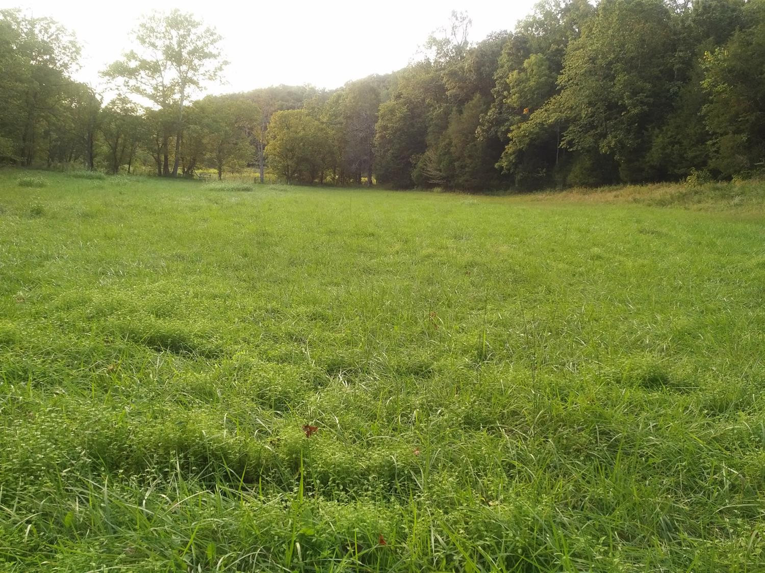 2925 Sand Hill Road Irvine, KY 40336 - Photo 23 of 31 Photo 23