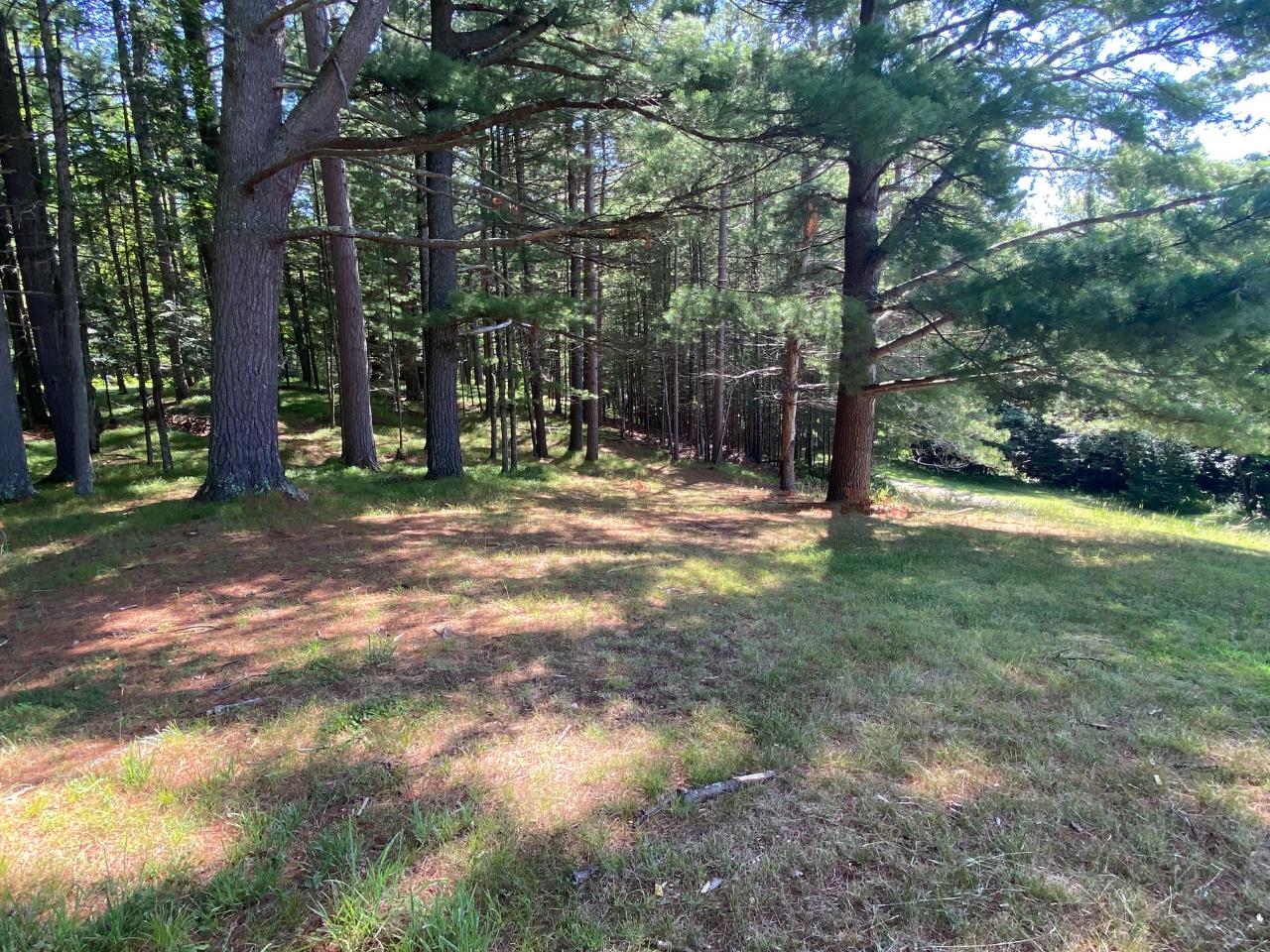 4013 Harshaw Road Harshaw, WI 54529 - Photo 20 of 20 Gallery Image 20