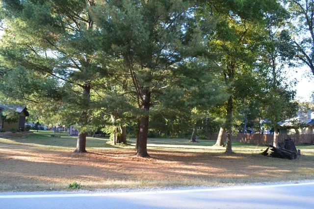 a view of city trees