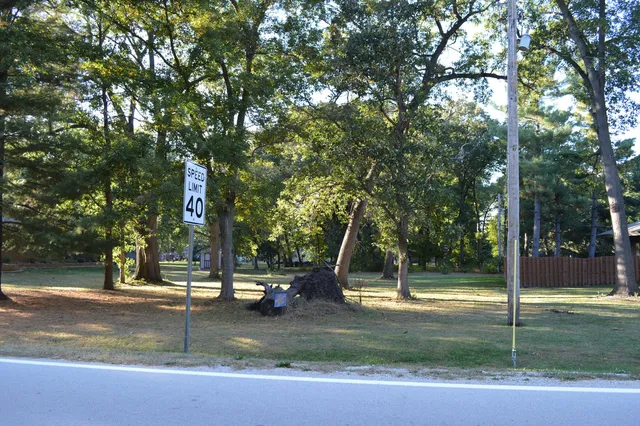 a view of a park with large trees