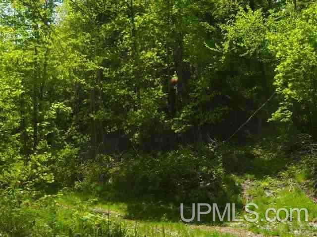 Tbd Menge Creek Road Lanse, MI 49908 - Photo 8 of 9