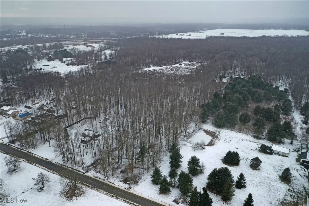 Kale Adams Road Southwest Warren, OH 44481 - Photo 4 of 13 Snowy aerial view