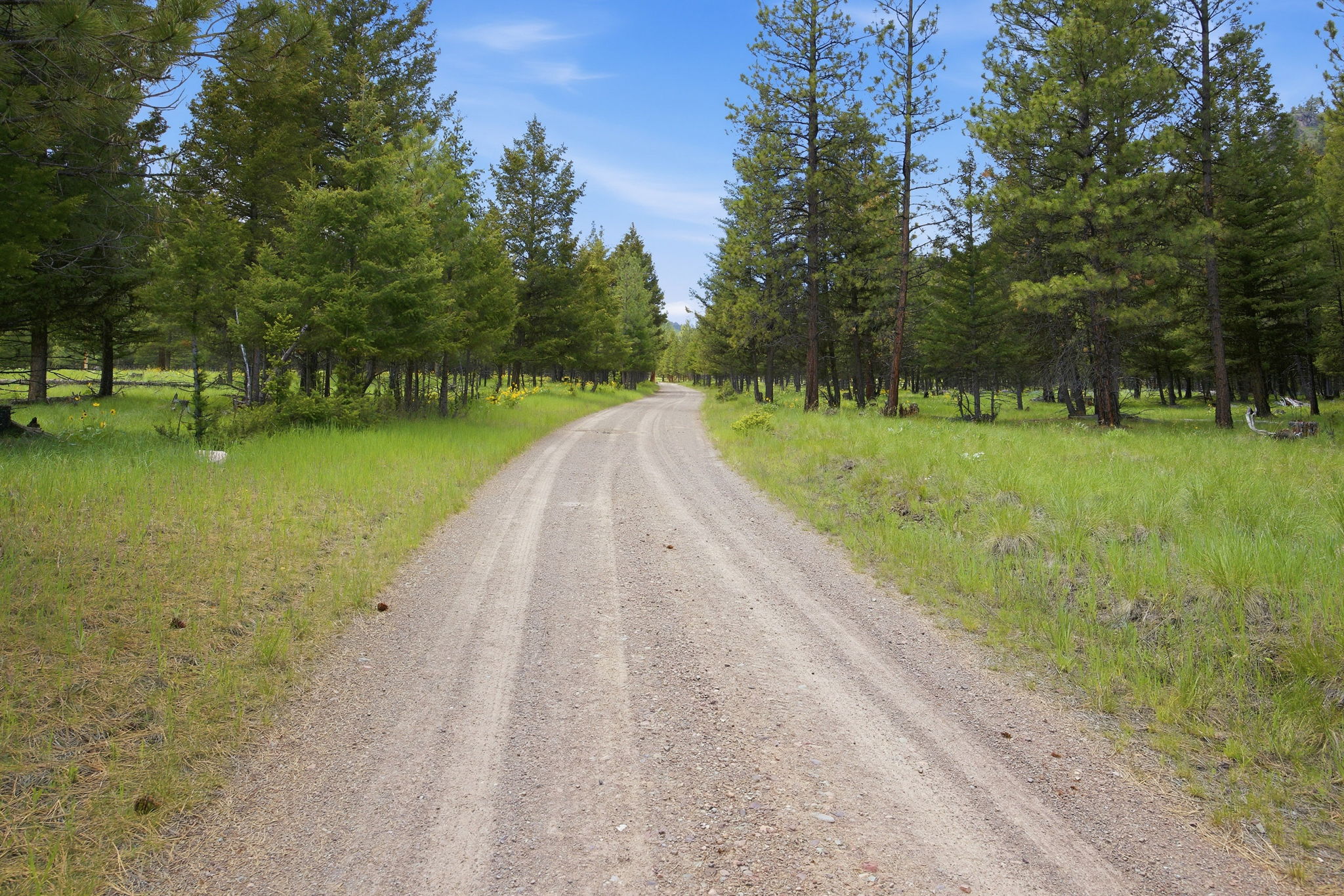 3 Big Waters Ranch Road Seeley Lake, MT 59868 - Photo 21 of 49 Gallery Image 21