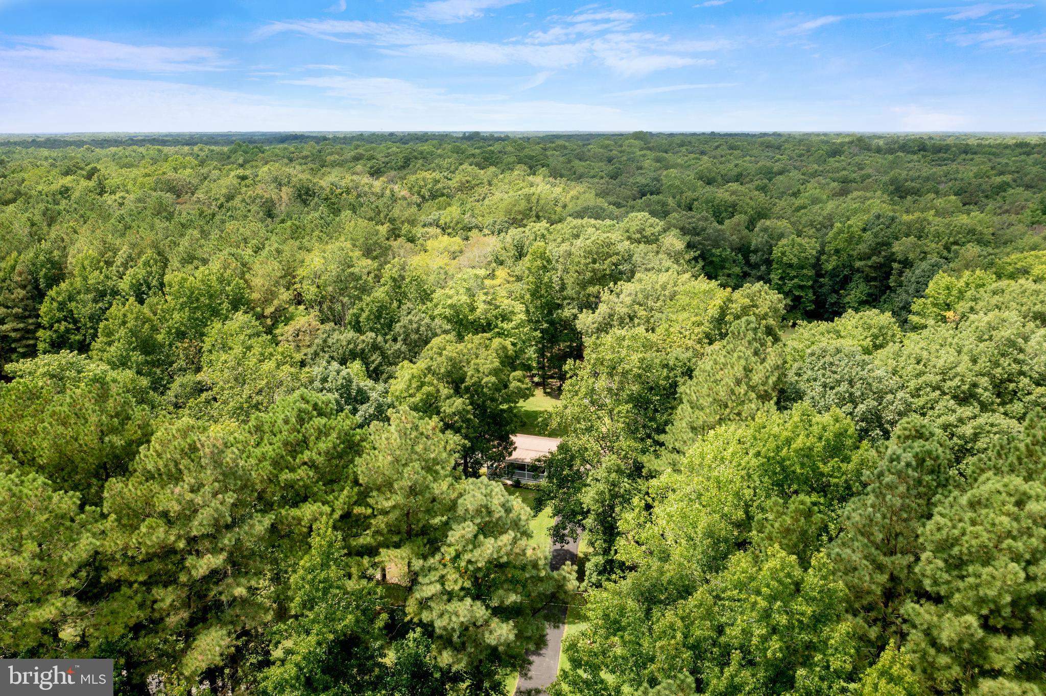 13520 South Union Church Road Ellendale, DE 19941 - Photo 5 of 36 Aerial of wooded acreage