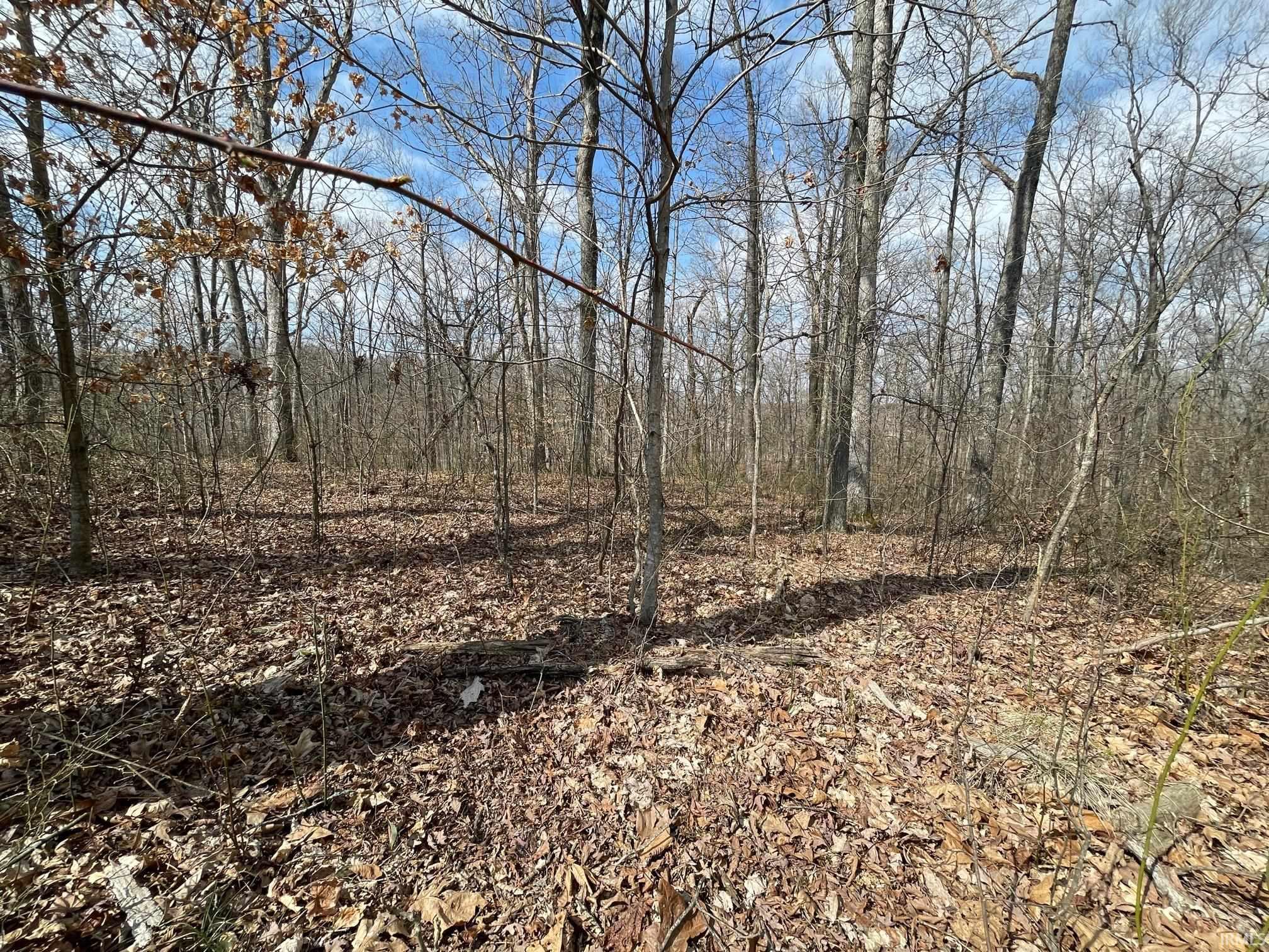 0 Harry Beumer Huntingburg, IN 47542 - Photo 4 of 7