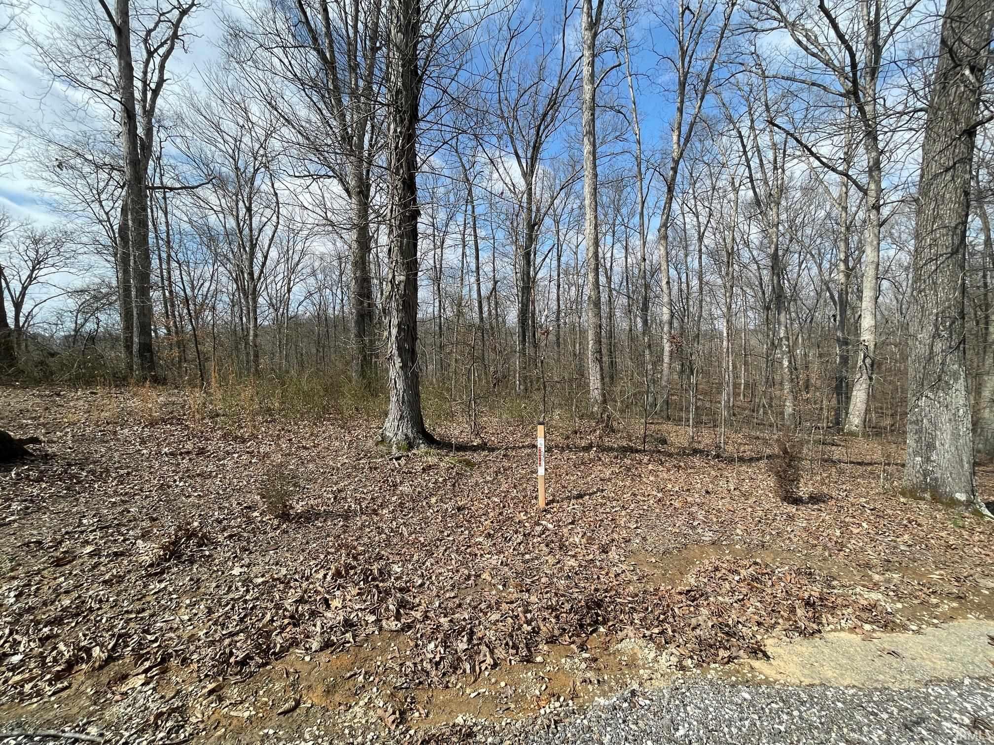 0 Harry Beumer Huntingburg, IN 47542 - Photo 5 of 7