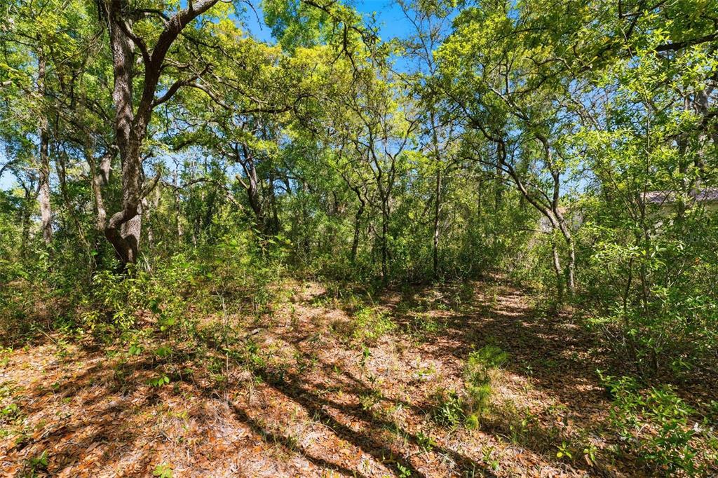 0 Coyote Road Hudson, FL 34669 - Photo 13 of 13
