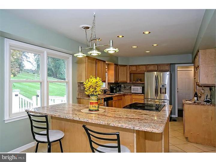 602 Rosedale Road Kennett Square, PA 19348 - Photo 4 of 23 Kitchen