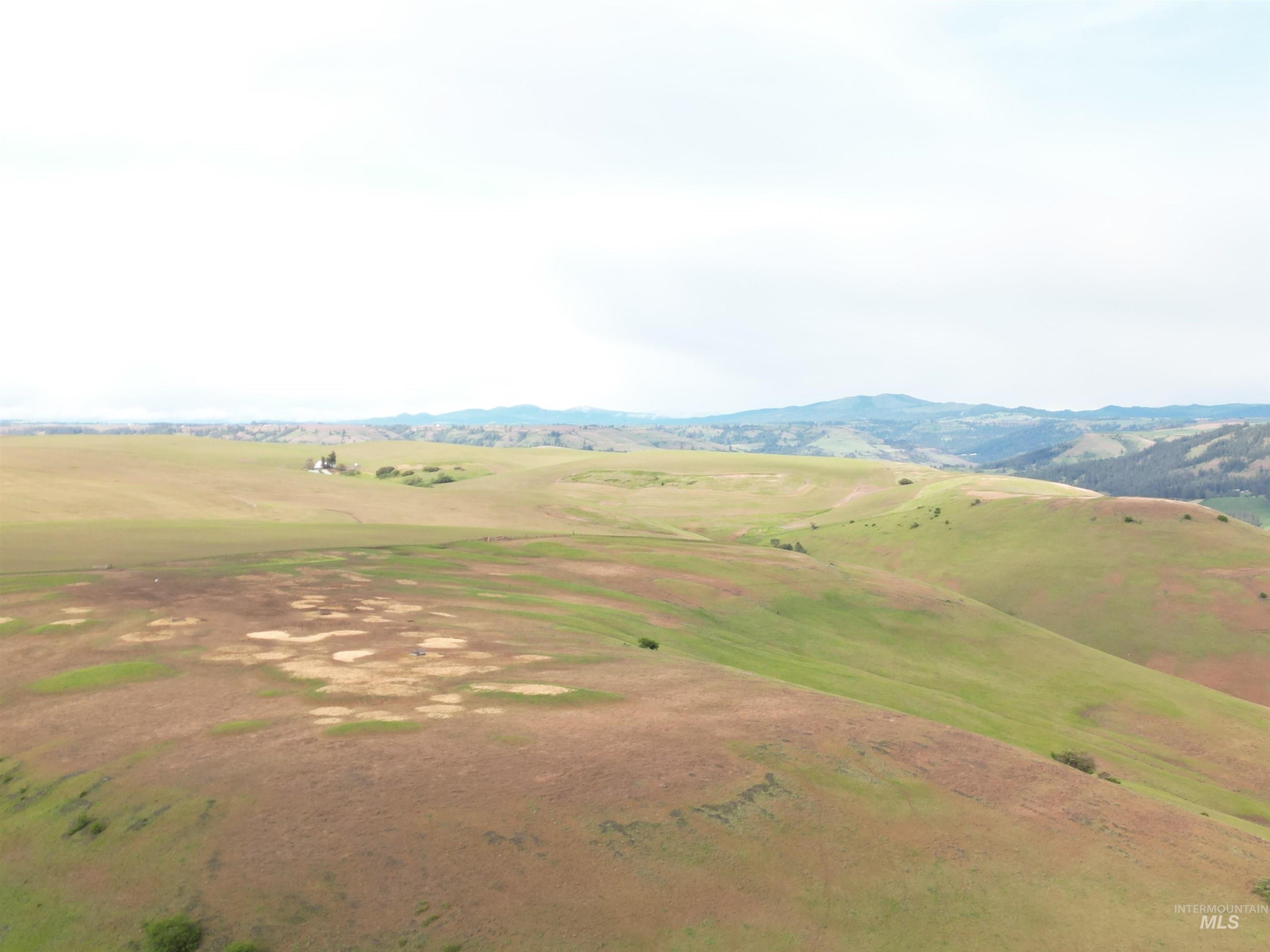 0 American Ridge Road Kendrick, ID 83537 - Photo 5 of 17