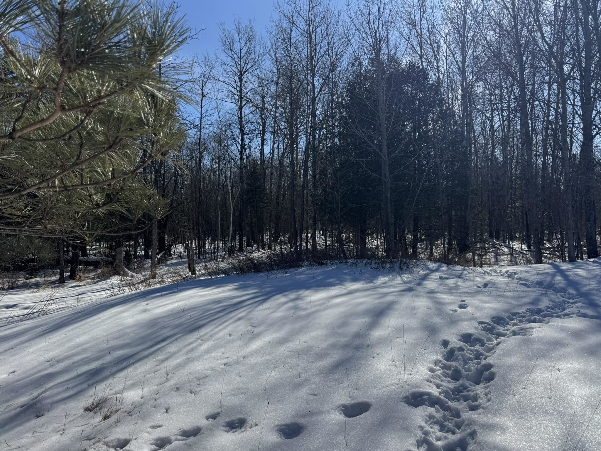 812 Old Drummond Road Two Harbors, MN 55616 - Photo 8 of 20