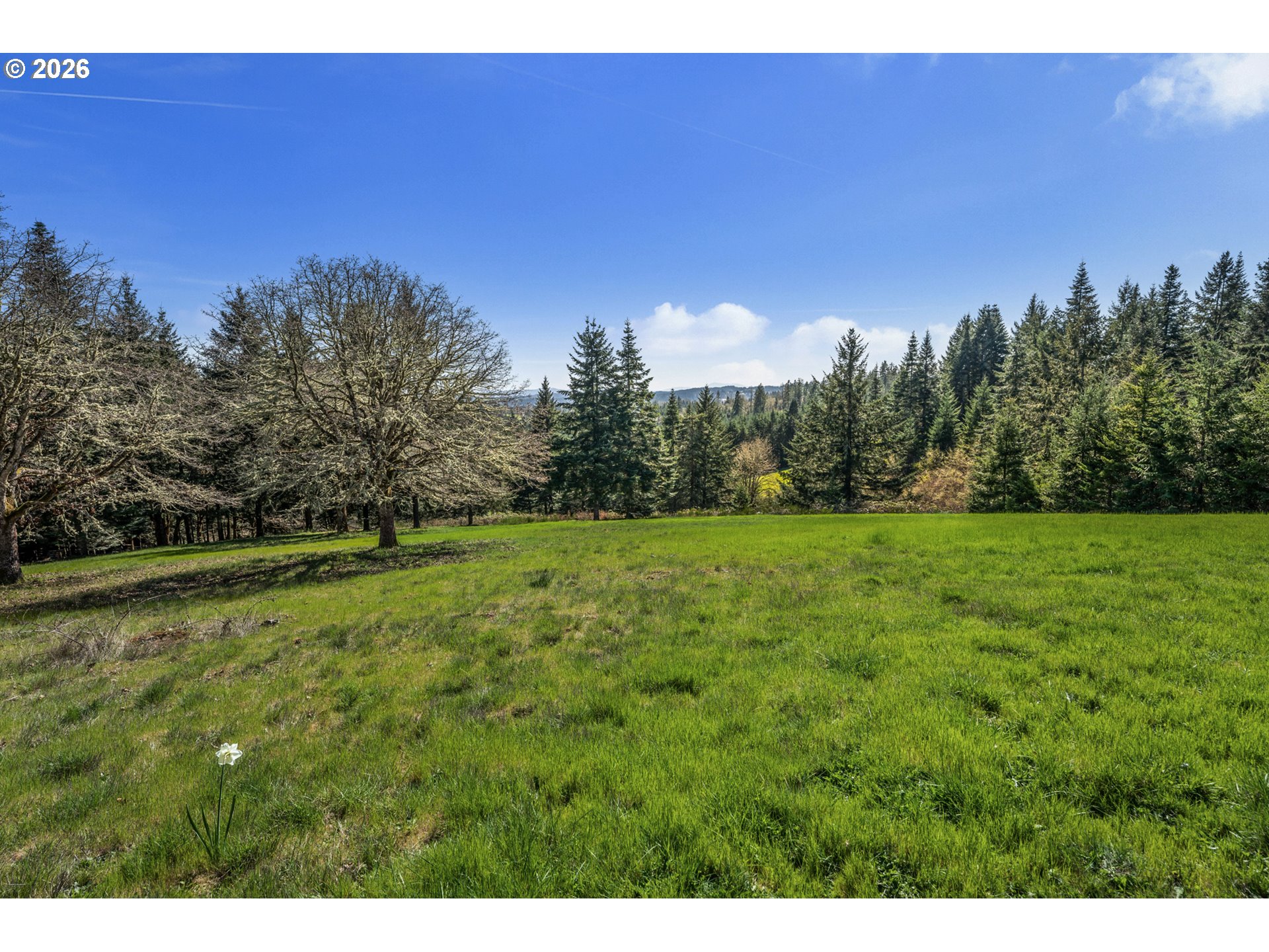 14390 Orchard Knob Road Dallas, OR 97338 - Photo 33 of 46