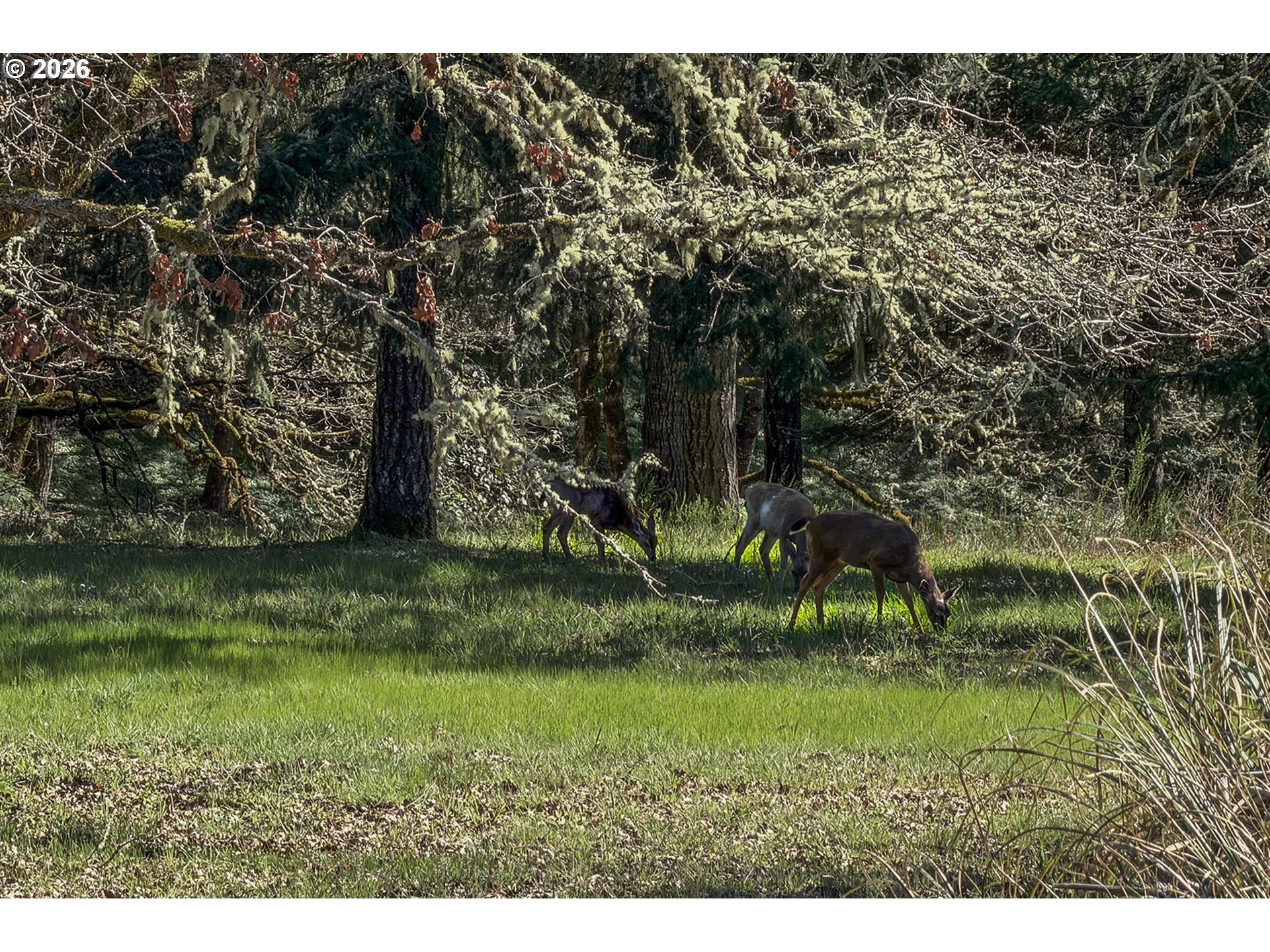14390 Orchard Knob Road Dallas, OR 97338 - Photo 34 of 46
