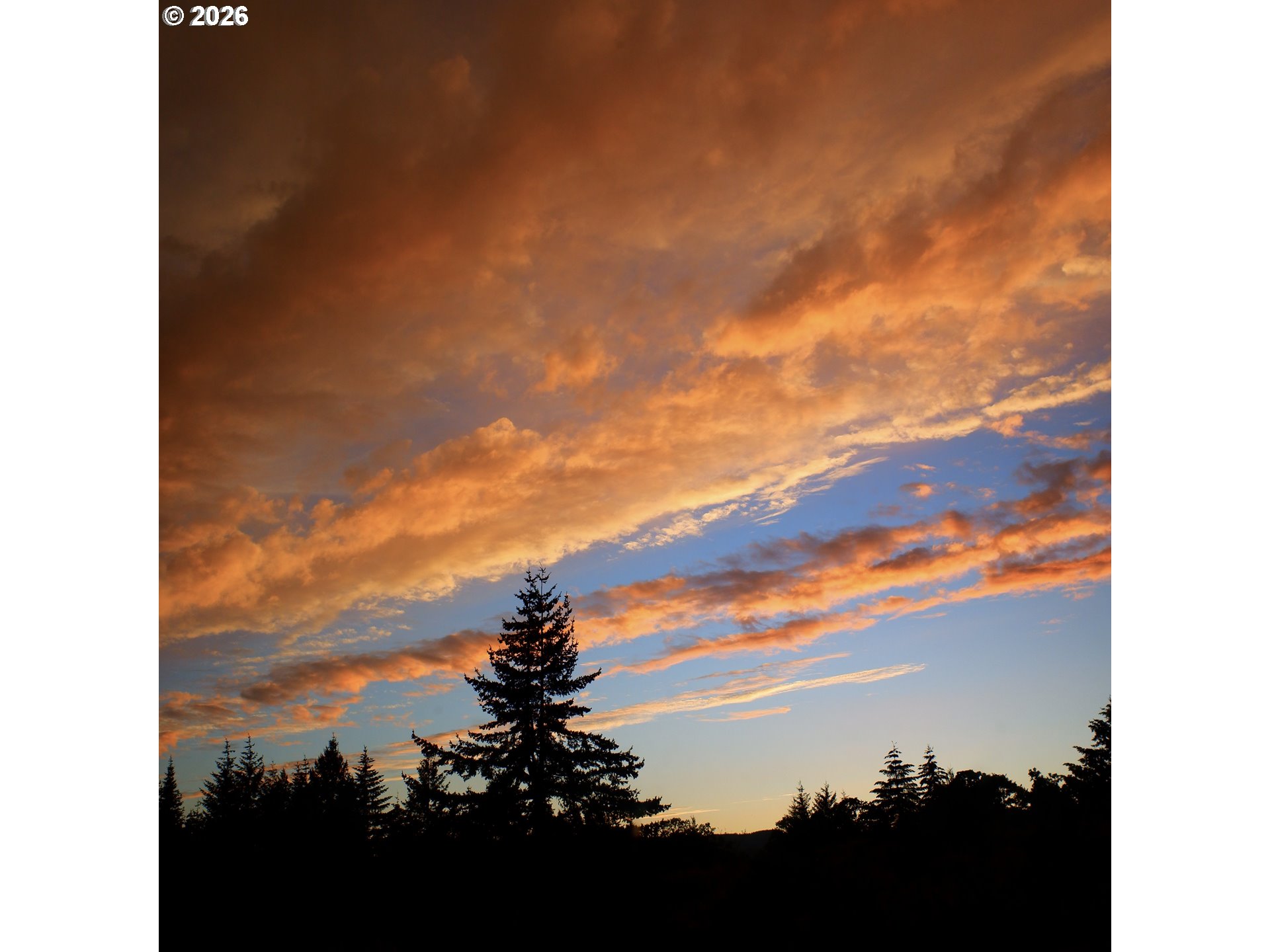 14390 Orchard Knob Road Dallas, OR 97338 - Photo 38 of 46