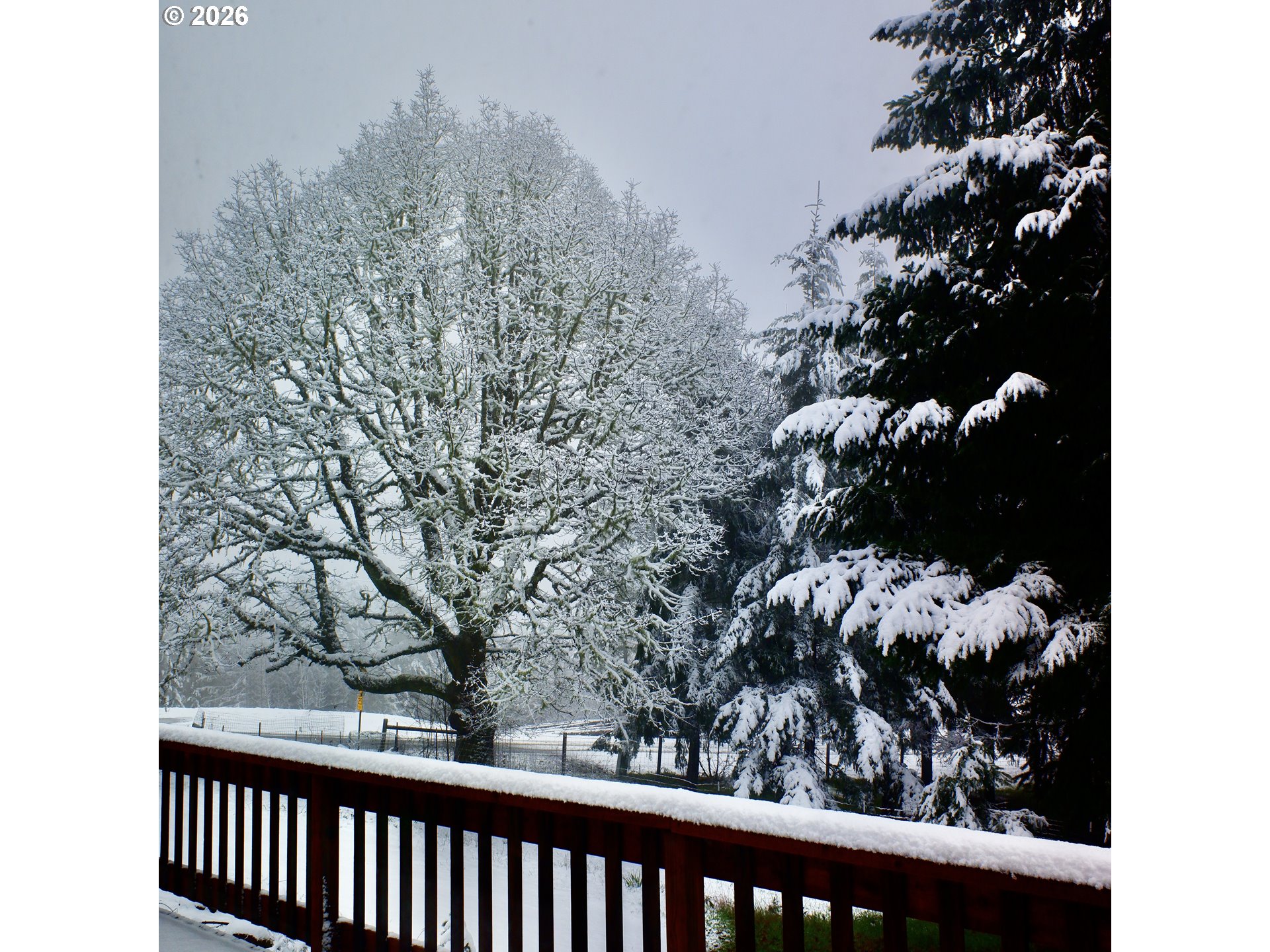 14390 Orchard Knob Road Dallas, OR 97338 - Photo 39 of 46