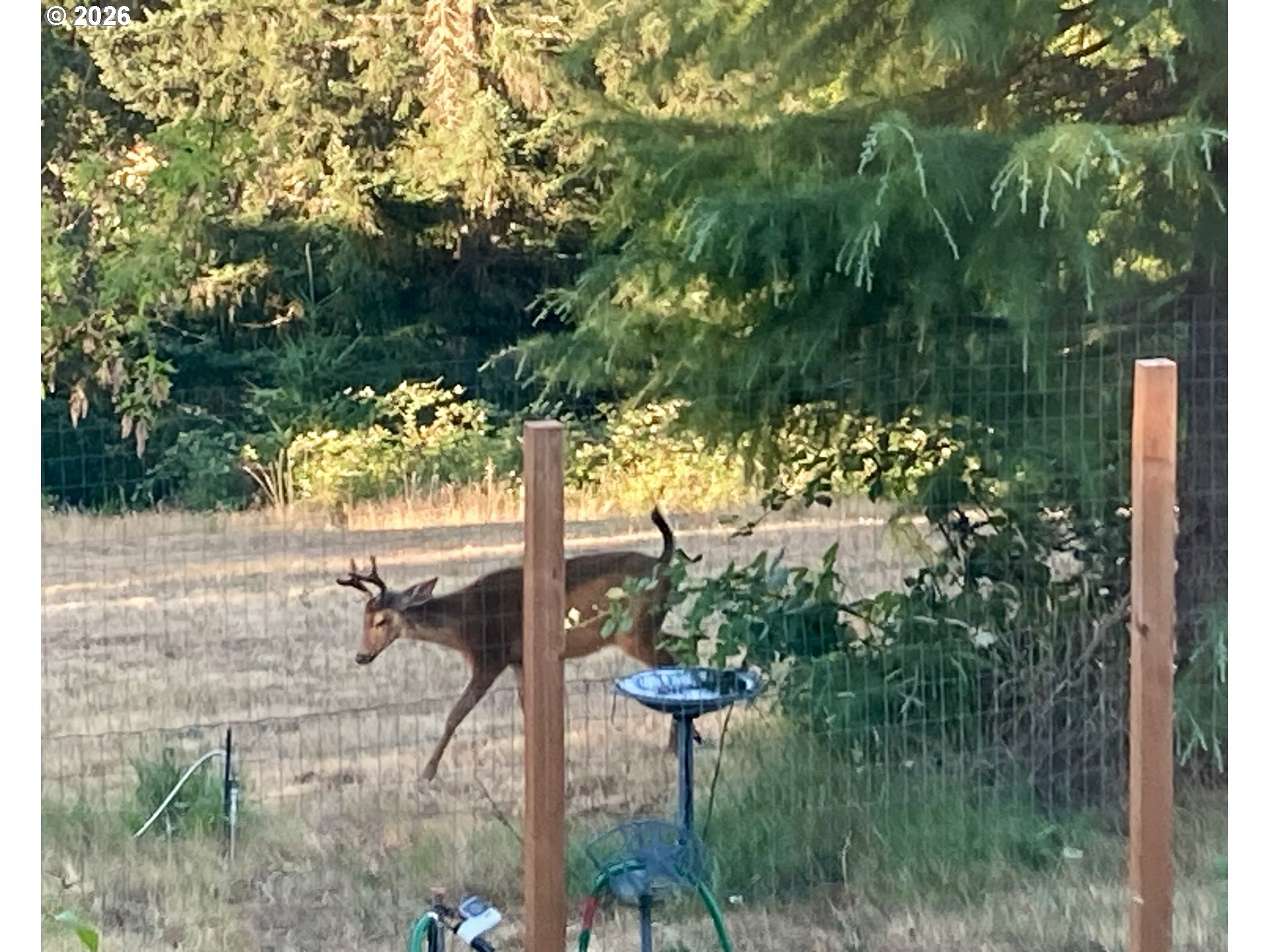 14390 Orchard Knob Road Dallas, OR 97338 - Photo 40 of 46