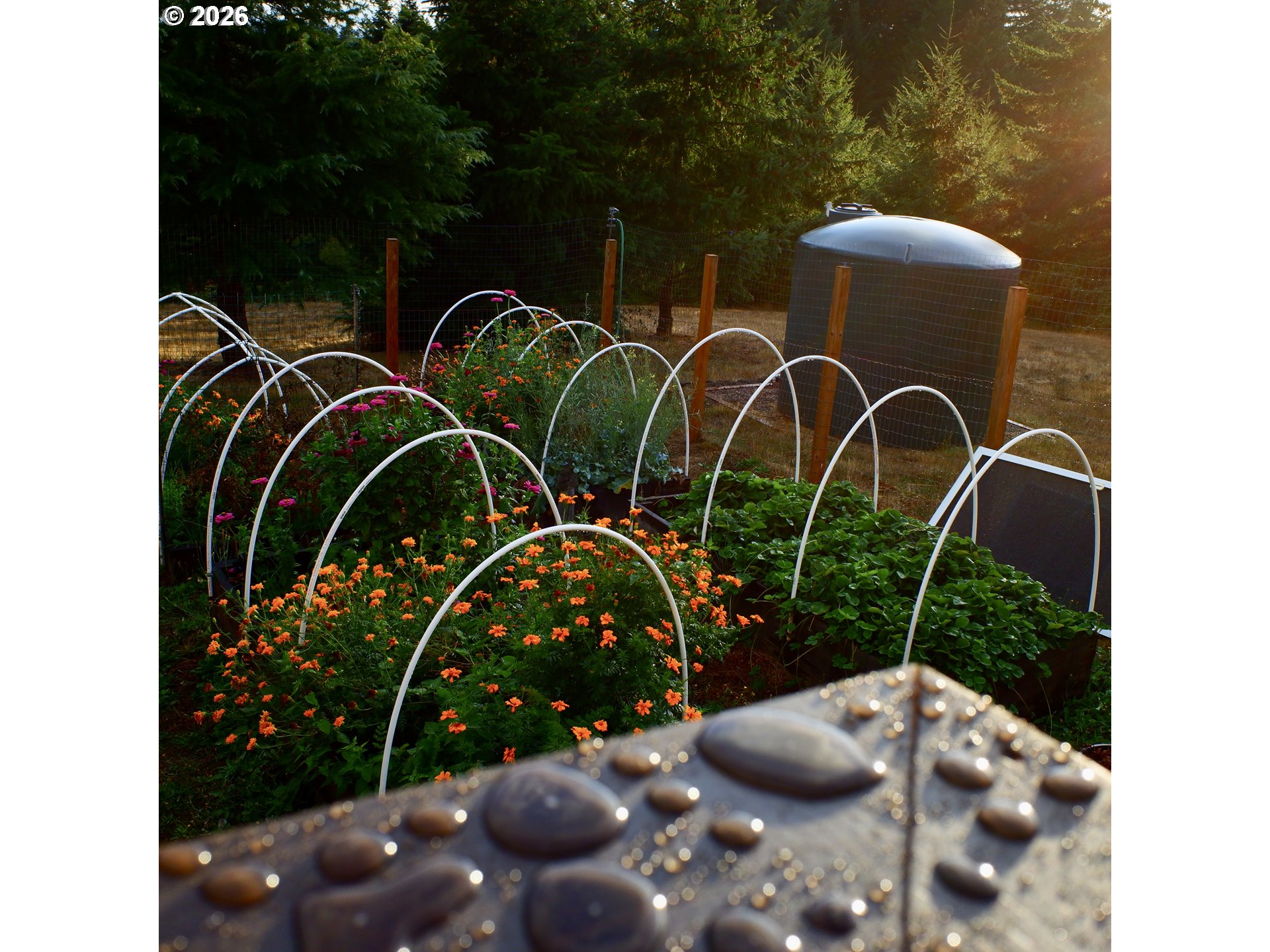 14390 Orchard Knob Road Dallas, OR 97338 - Photo 41 of 46