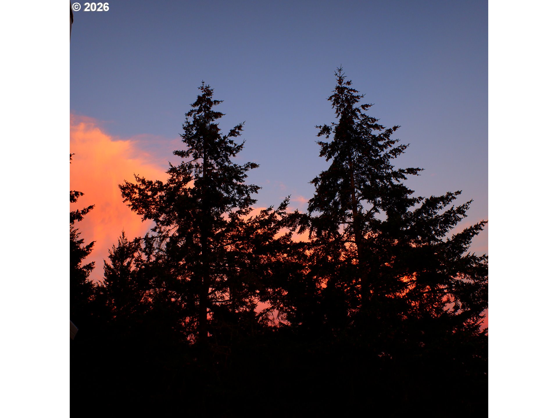 14390 Orchard Knob Road Dallas, OR 97338 - Photo 44 of 46