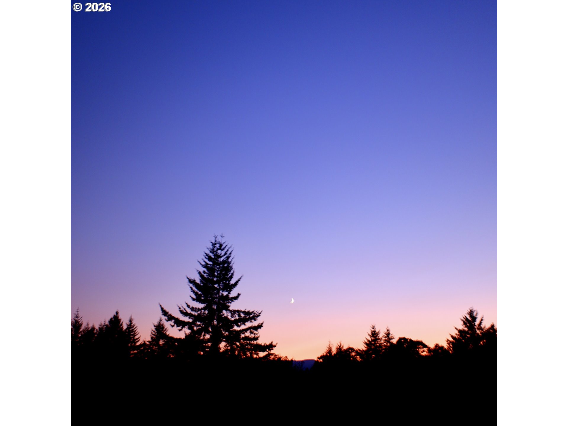 14390 Orchard Knob Road Dallas, OR 97338 - Photo 45 of 46