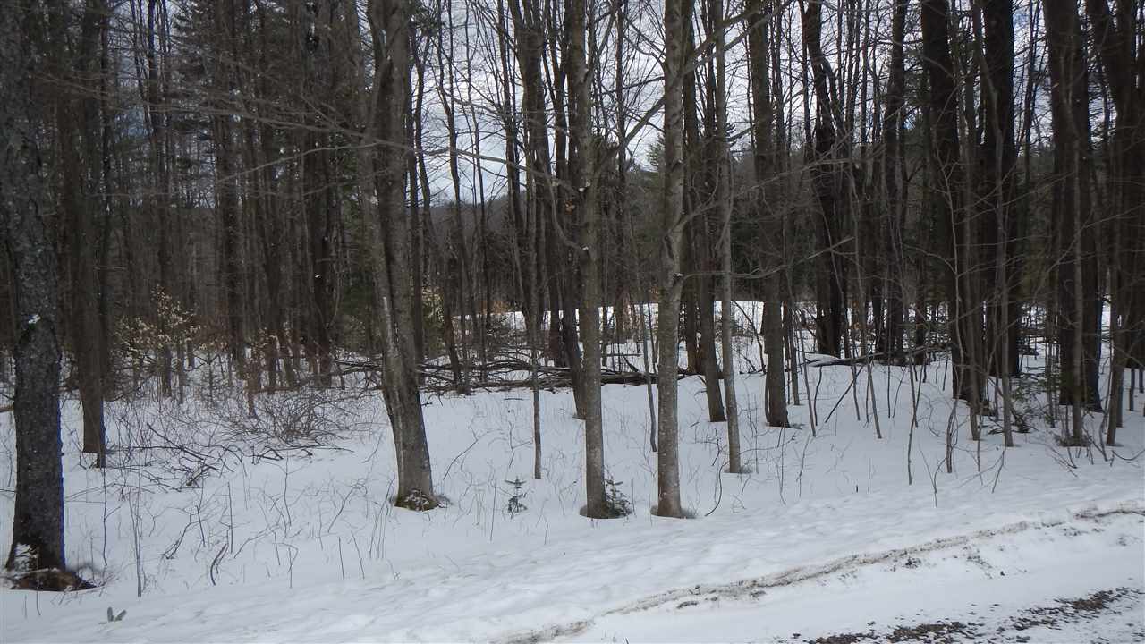 91 Ware Road Wilmington, VT 05363 - Photo 2 of 4