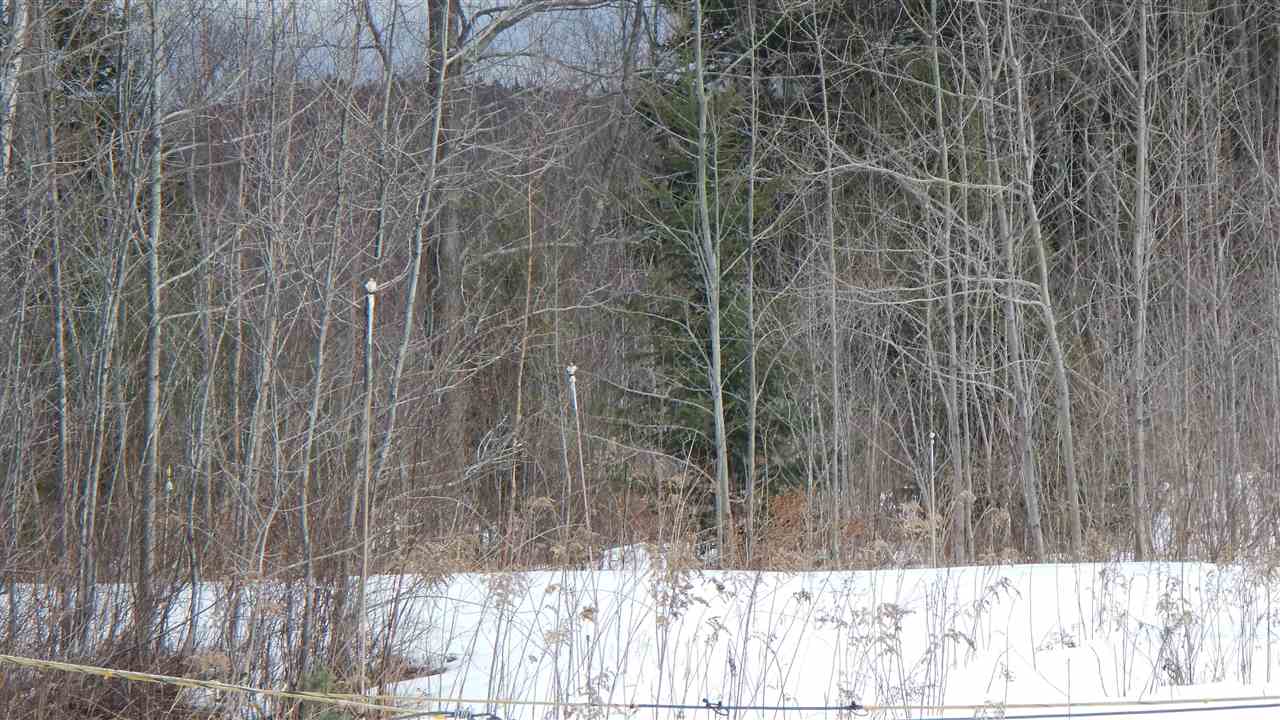 91 Ware Road Wilmington, VT 05363 - Photo 3 of 4