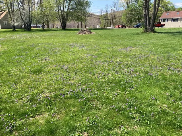 a view of a field of grass and trees