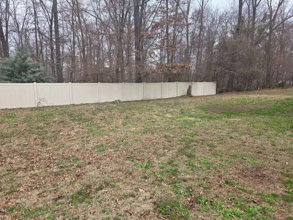a view of backyard with large trees