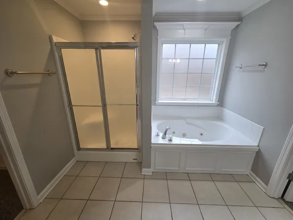 a bathroom with a bathtub and a shower