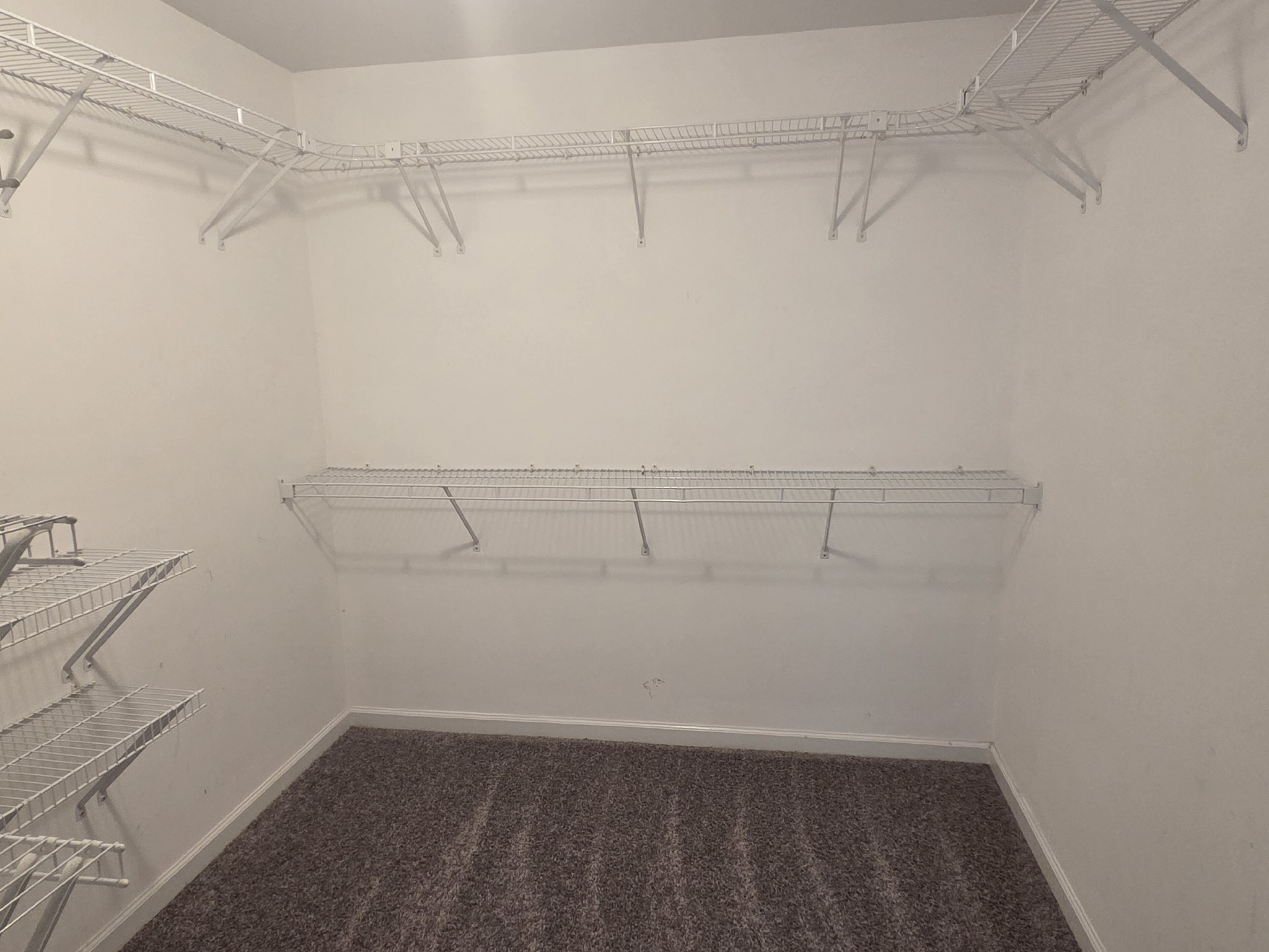 617 Rambush Drive Murfreesboro, TN 37128 - Photo 28 of 32 a view of a room with racks on the wall
