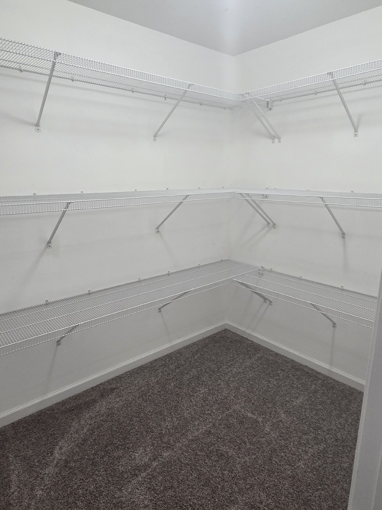 617 Rambush Drive Murfreesboro, TN 37128 - Photo 30 of 32 a view of a room with racks on the wall