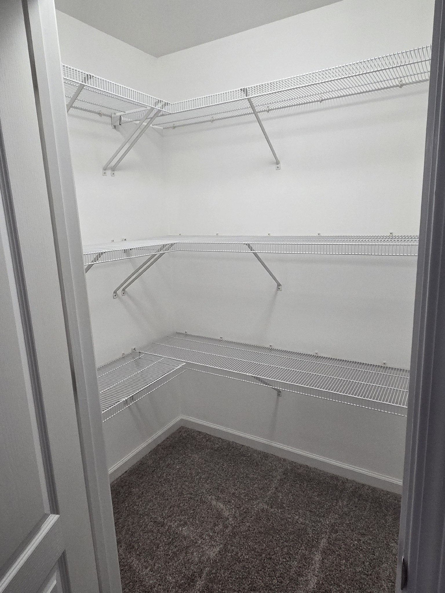 617 Rambush Drive Murfreesboro, TN 37128 - Photo 31 of 32 a view of an empty walk in closet