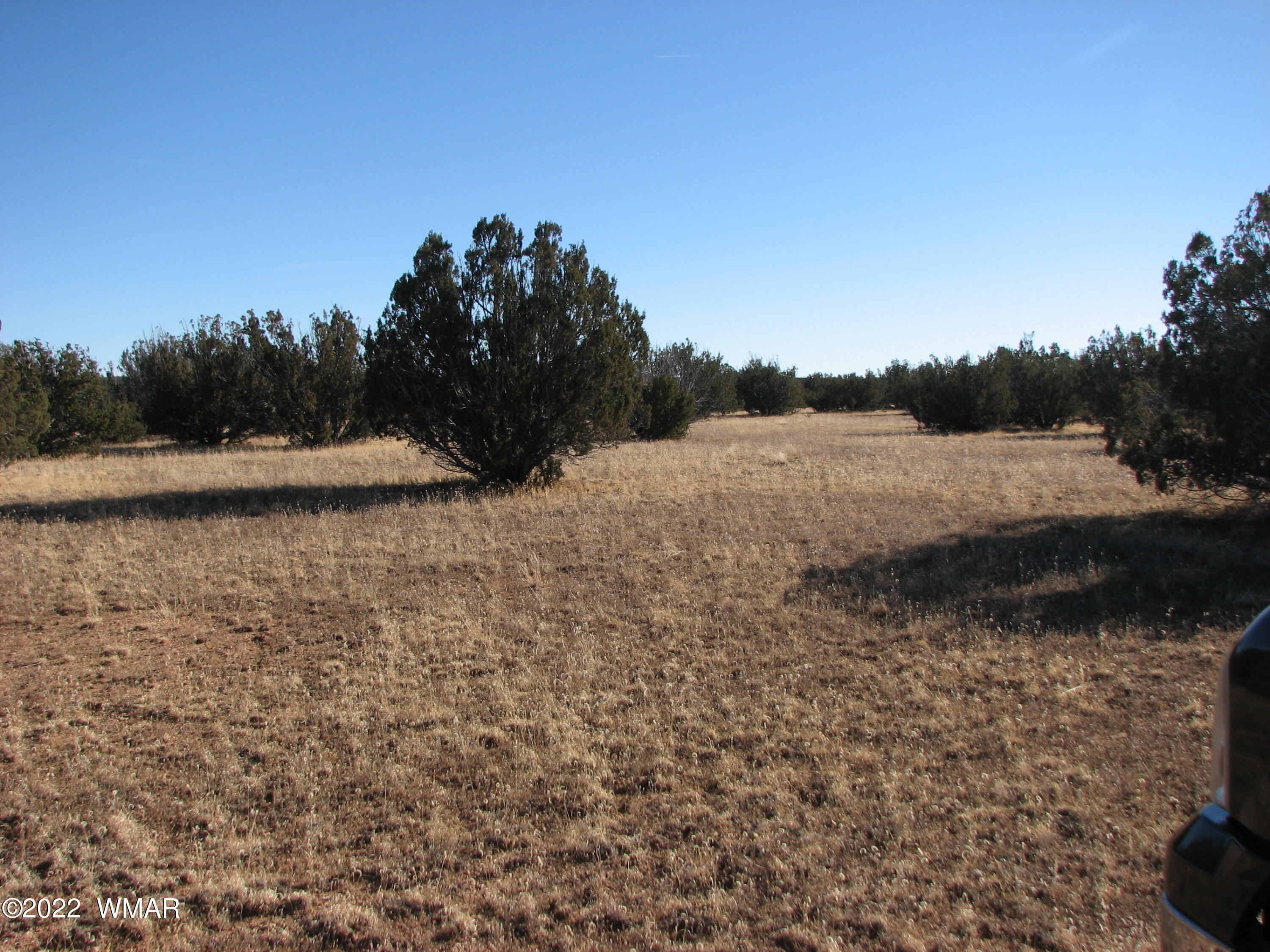 7 Chevelon Retreat Heber, AZ 85928 - Photo 1 of 4