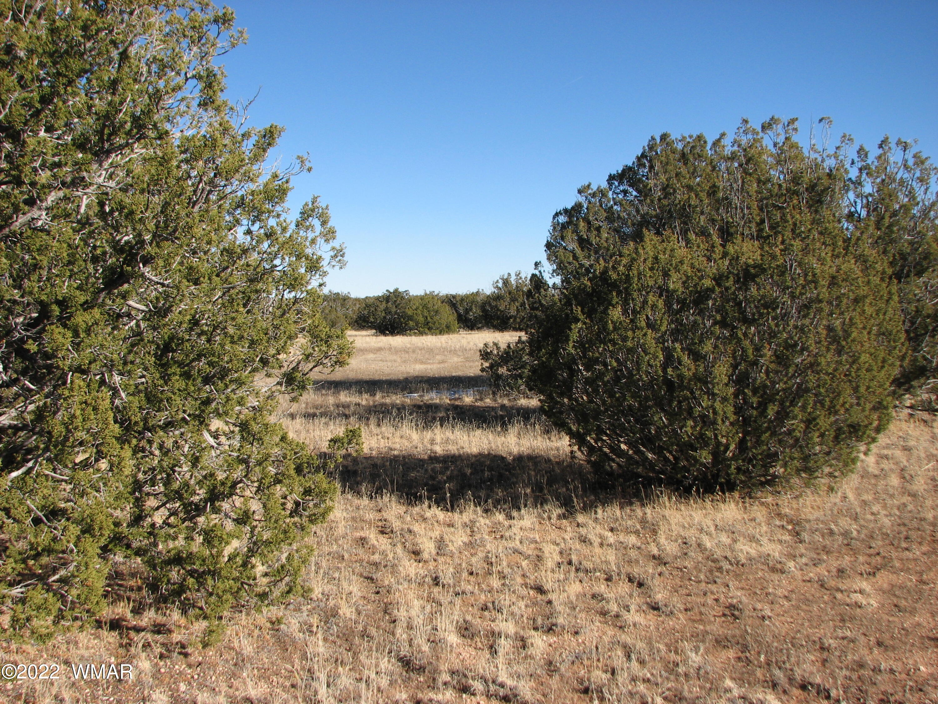 7 Chevelon Retreat Heber, AZ 85928 - Photo 2 of 4