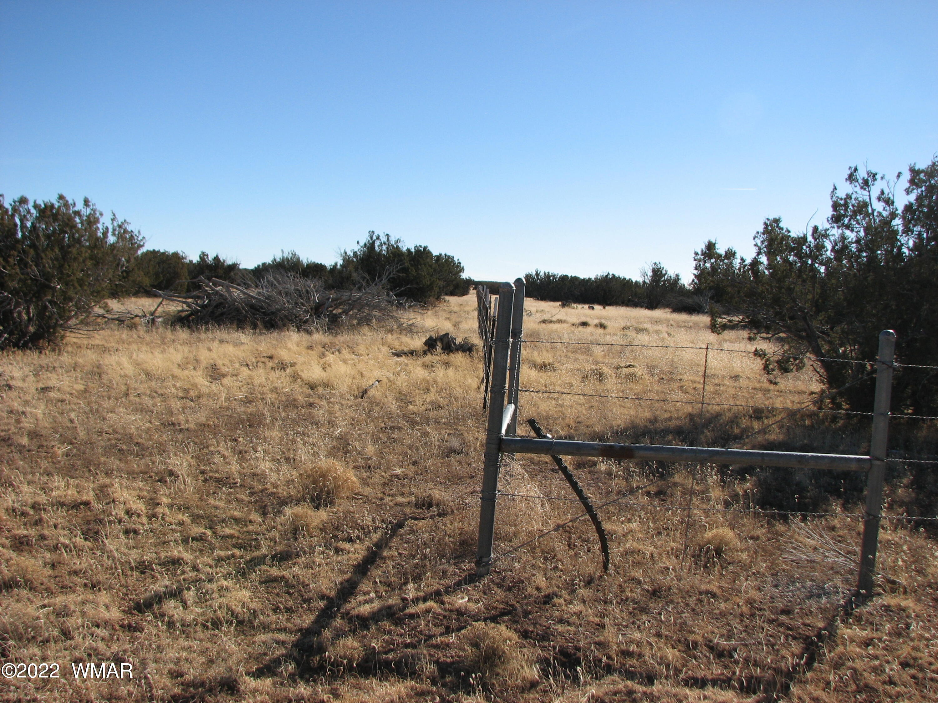7 Chevelon Retreat Heber, AZ 85928 - Photo 3 of 4
