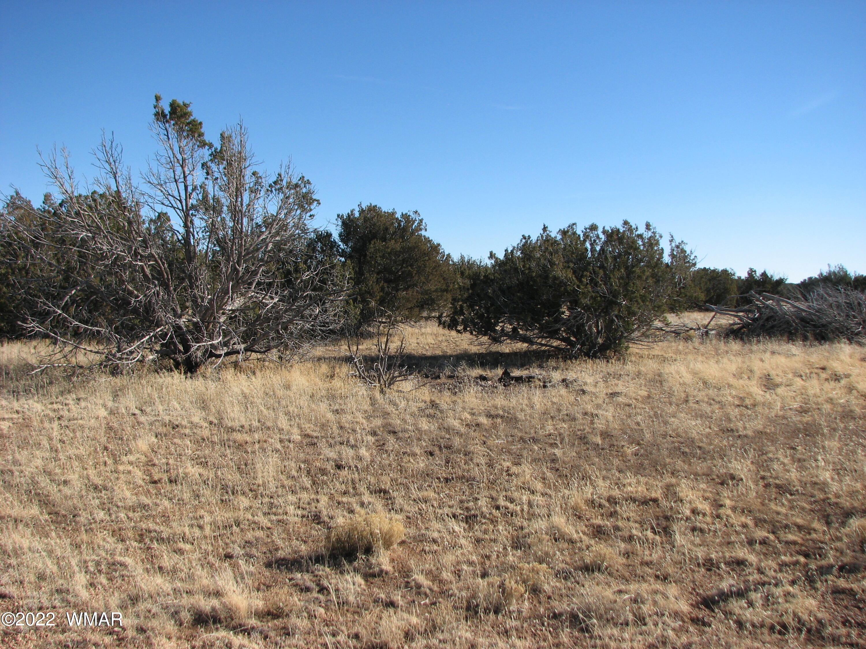 7 Chevelon Retreat Heber, AZ 85928 - Photo 4 of 4