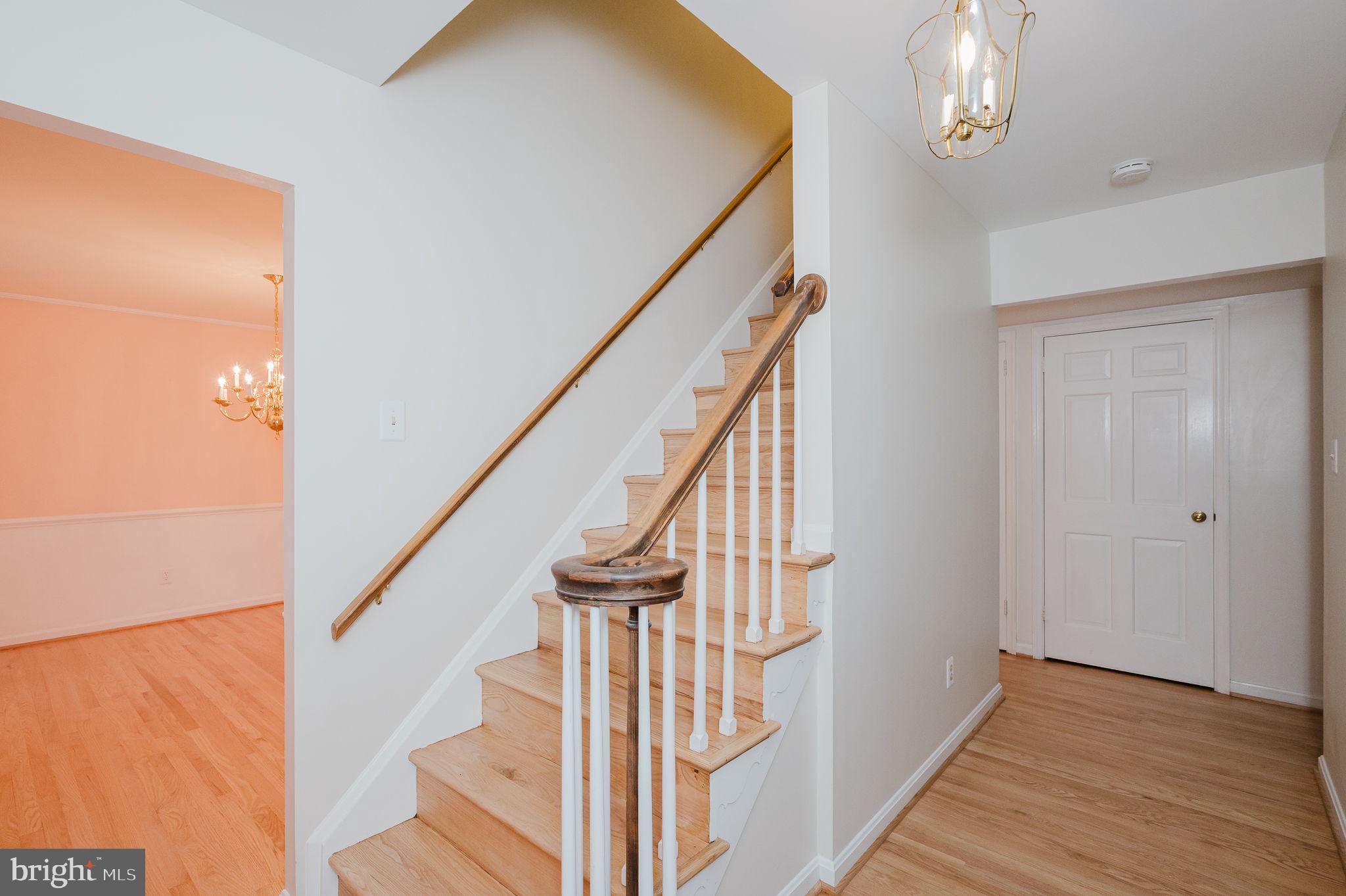 5 Drake Court Baltimore, MD 21286 - Photo 5 of 76 Front Foyer Entrance 7'1"x 7'10"