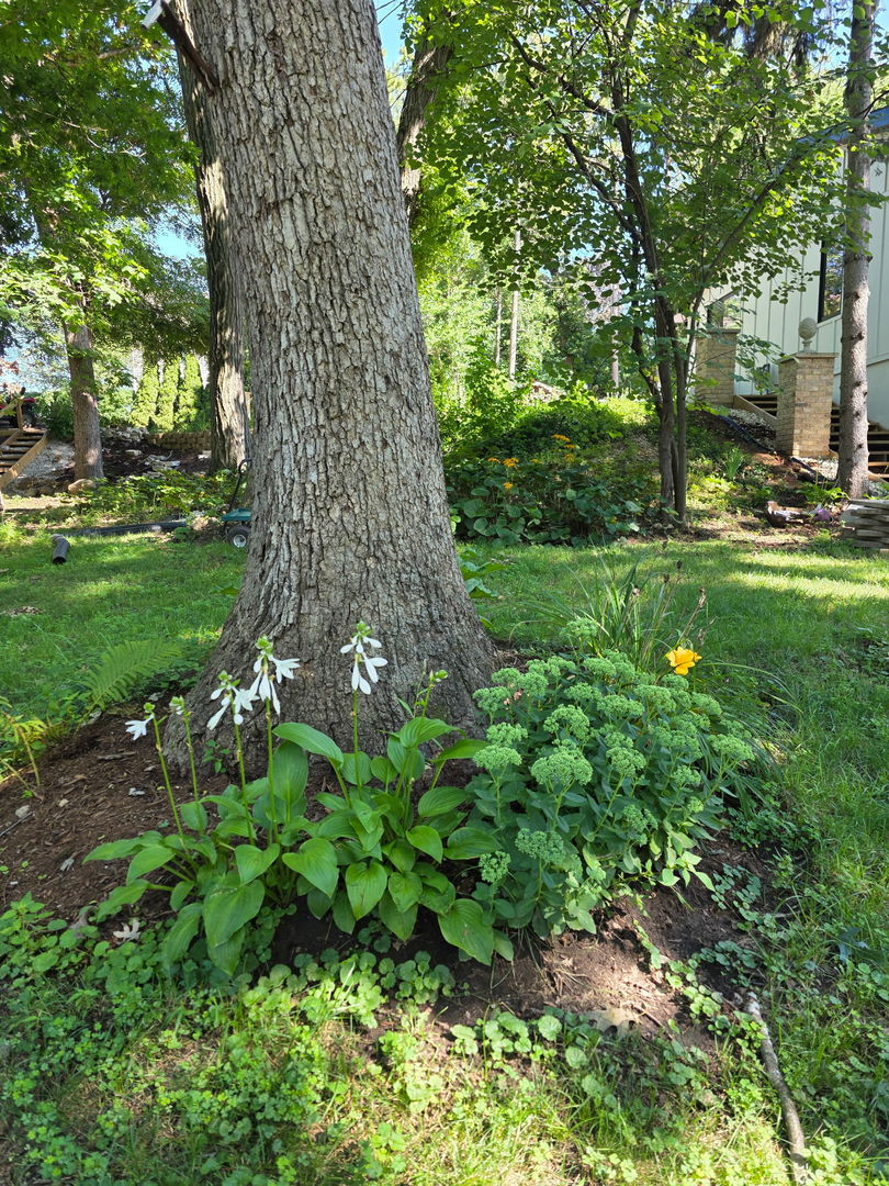 306 Woodlock Street Ingleside, IL 60041 - Photo 67 of 76
