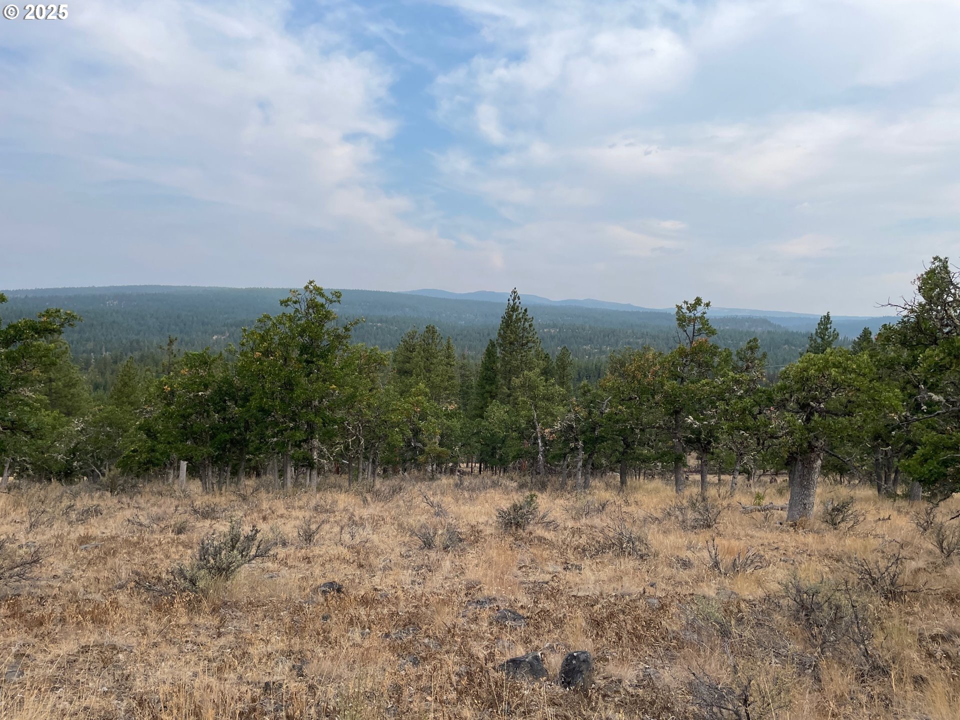 104 Jenkins Creek Road Goldendale, WA 98620 - Photo 21 of 45 a view of a field