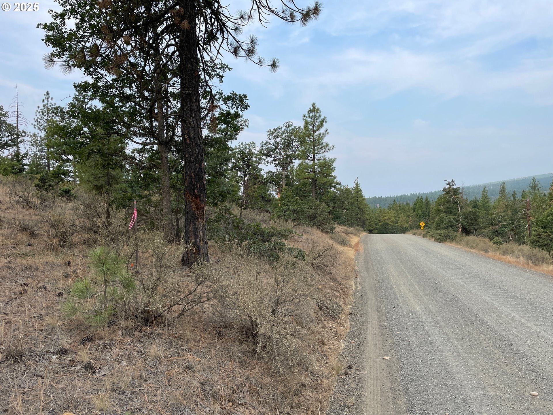 104 Jenkins Creek Road Goldendale, WA 98620 - Photo 22 of 45 a view of a dry yard with trees