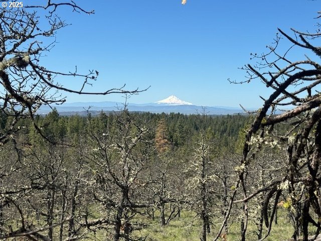 104 Jenkins Creek Road Goldendale, WA 98620 - Photo 28 of 45 a view of a lake in the backyard