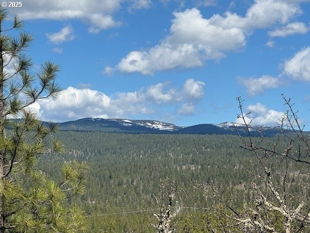 104 Jenkins Creek Road Goldendale, WA 98620 - Photo 29 of 45 a view of a lake