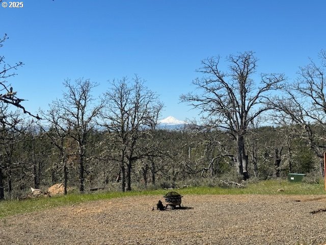 104 Jenkins Creek Road Goldendale, WA 98620 - Photo 32 of 45 a view of a yard with a tree