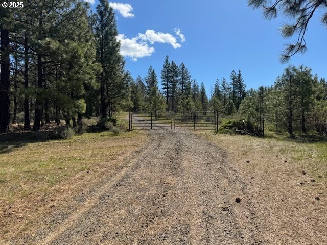 104 Jenkins Creek Road Goldendale, WA 98620 - Photo 34 of 45 a view of outdoor space with trees