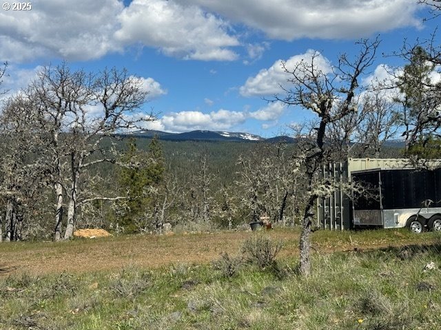 104 Jenkins Creek Road Goldendale, WA 98620 - Photo 35 of 45 a view of a yard